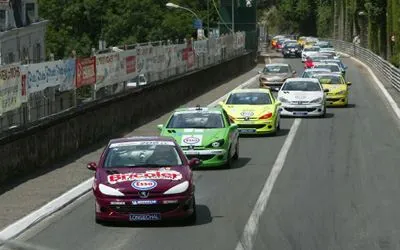 Coupe 206 cc à Pau